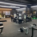 멸치탈출연구소 이미지