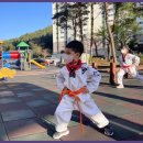 소나무향기태권도장 | 거제태권도 소나무향기 태권도장, 자식의 성장을 위한 최고의 선택
