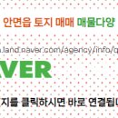 태안공인중개사사무소 이미지