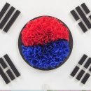 플레이우드 이미지