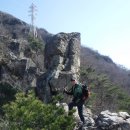 여우와늑대 이미지