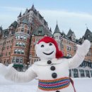 본 옴므(Bon Homme)