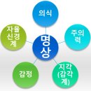 메디루스 이미지