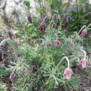 구수골로 이미지