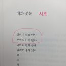안병선 이미지