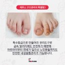 레푸스마곡 이미지