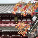 일본 도쿄 여행 코스 추천 아사쿠사 '센소지 & 나카미세도리' - 먹거리 맛집 화월당, 시간, 입장료