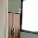 뽑고뽑기인형방 | 이것저것 지른 후기