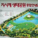 아침연꽃 이미지