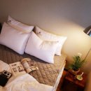 제주폴리폴리 이미지