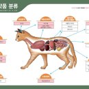 테라스파란문약국 이미지