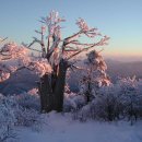 청주산처럼산악회 제3차 정기산행 2016년2월21일 일요일 100대명산 태백 태백산 겨울산행! 이미지