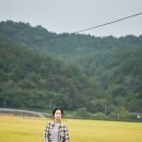 웃개 티스토리