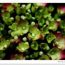 풍경어린이집 이미지