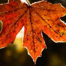 NH농협주유소 이미지