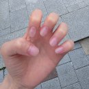 은은네일 | 자석네일 은은하게 반짝이는 네일 후기
