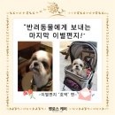 무지개케어 이미지