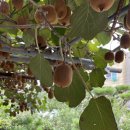 예술공간미용실 이미지