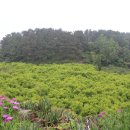 다래산장 이미지