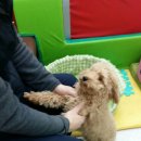 동주동물병원 이미지