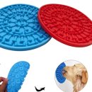 애견시선 이미지