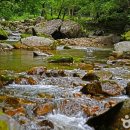구학산채