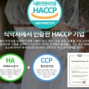 비케이푸드 - 23536 | 비케이푸드