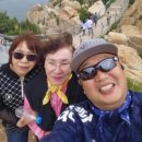 힐링산악회 2026년 5월21일 제112회차 산행을 울산 태화강 국가정원 10리 대나무숲길 과 방어진 대왕암 공원 산행을 잘다녀왔습니다 이미지