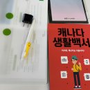 ✈️ 캐나다 어학연수 출국 전 준비과정 &amp; edm어학원 OT 후기 ✨