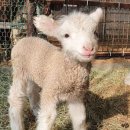 소리공원 이미지