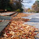 브릴란테 이미지