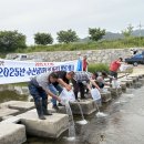 남원시, 요천에 쏘가리 치어 50,000마리 방류 이미지