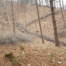 영심농장 이미지