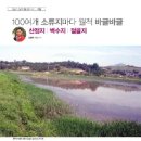 벽수지 이미지