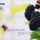 뽕이랑 귀농이랑 이미지