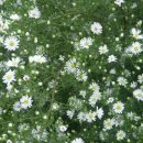 예천온천 이미지