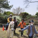 주덕초등학교 이미지