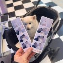 자궁근종수술 후 한달동안 있었던 일상 (술...은?)