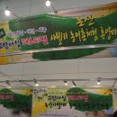 사월1리 이미지