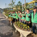 꽃내음가득 이미지