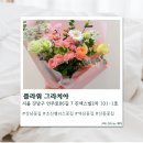 그라치아 | [강남] 강남꽃집 플라워 그라치아 어머니 생신 꽃다발 후기