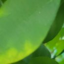 태안내과의원 이미지