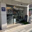 노원-공릉-3182 | [서울/ 공릉역꽃집] 노원청년가게 그래시룸 화분 후기