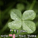 ☔비 내리는 소만(小滿)날~! 마음의 인사를 전합니다!☔ 이미지