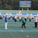 제22회 대통령기 전국 노인게이트볼대회 개최 (2) 이미지