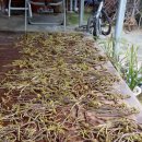 고흥이야기 이미지