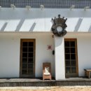 담티고가교 이미지