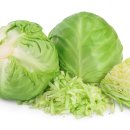 2022-주176 이미지