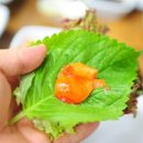 시장회타운 이미지