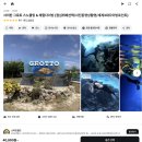 포인트 | 사이판 투어 추천 그로토 동굴 다이빙 포인트 내돈내산 후기 🩵